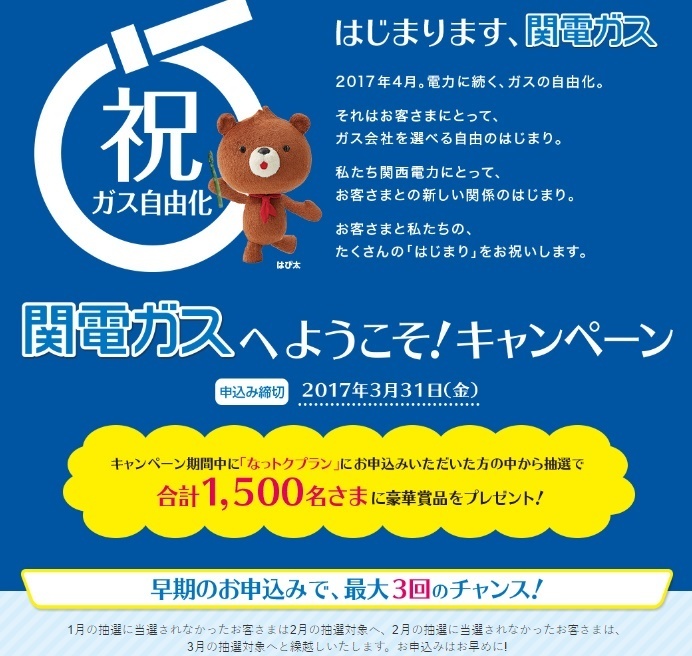 関電ガス キャンペーン実施中 電力自由化と電気に関する情報ブログ