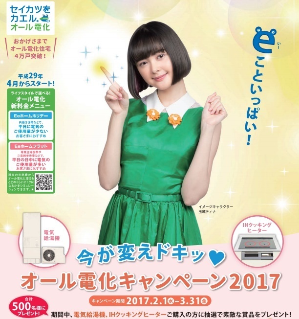 沖縄電力 オール電化キャンペーンを実施 電力自由化と電気に関する情報ブログ